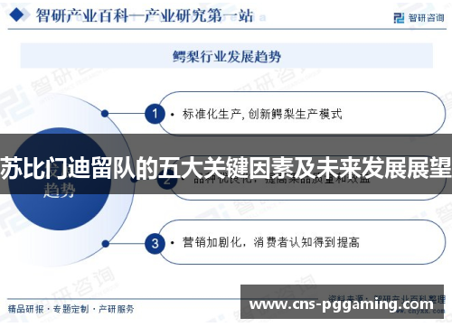 苏比门迪留队的五大关键因素及未来发展展望 苏比门迪留队的五大关键因素及未来发展展望
