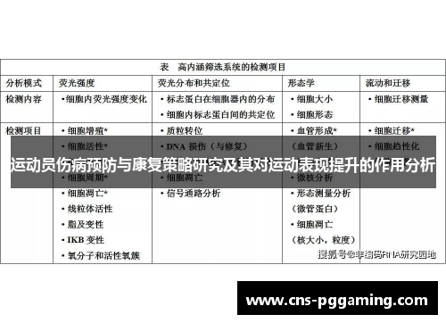 运动员伤病预防与康复策略研究及其对运动表现提升的作用分析 运动员伤病预防与康复策略研究及其对运动表现提升的作用分析