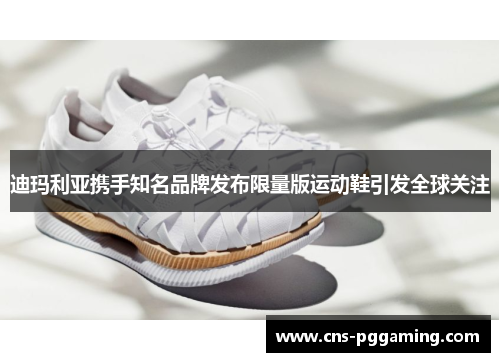 迪玛利亚携手知名品牌发布限量版运动鞋引发全球关注