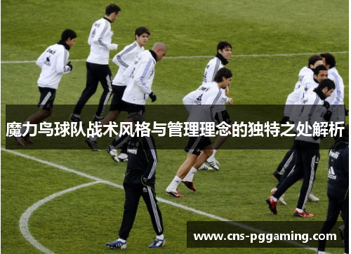 魔力鸟球队战术风格与管理理念的独特之处解析