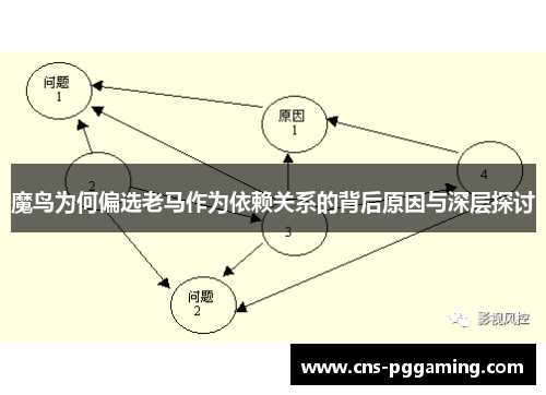 魔鸟为何偏选老马作为依赖关系的背后原因与深层探讨
