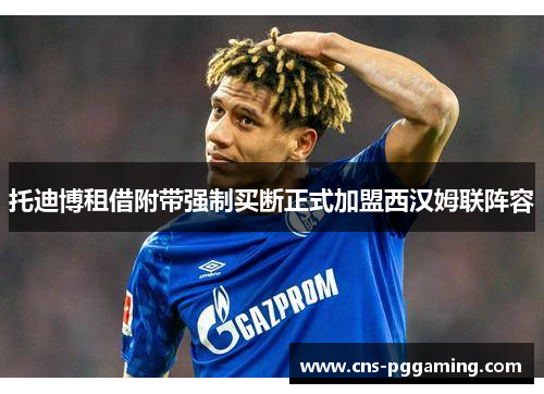 托迪博租借附带强制买断正式加盟西汉姆联阵容